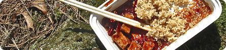 Evan Wilder's Pictures of the Pine Barrens - A Picnic Amidst April Buds