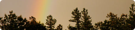 Evan Wilder's Pictures of the Pine Barrens - A Spring Thunderstorm And Rainbow In The Pines